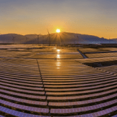 thumbnail image of solar panel farm