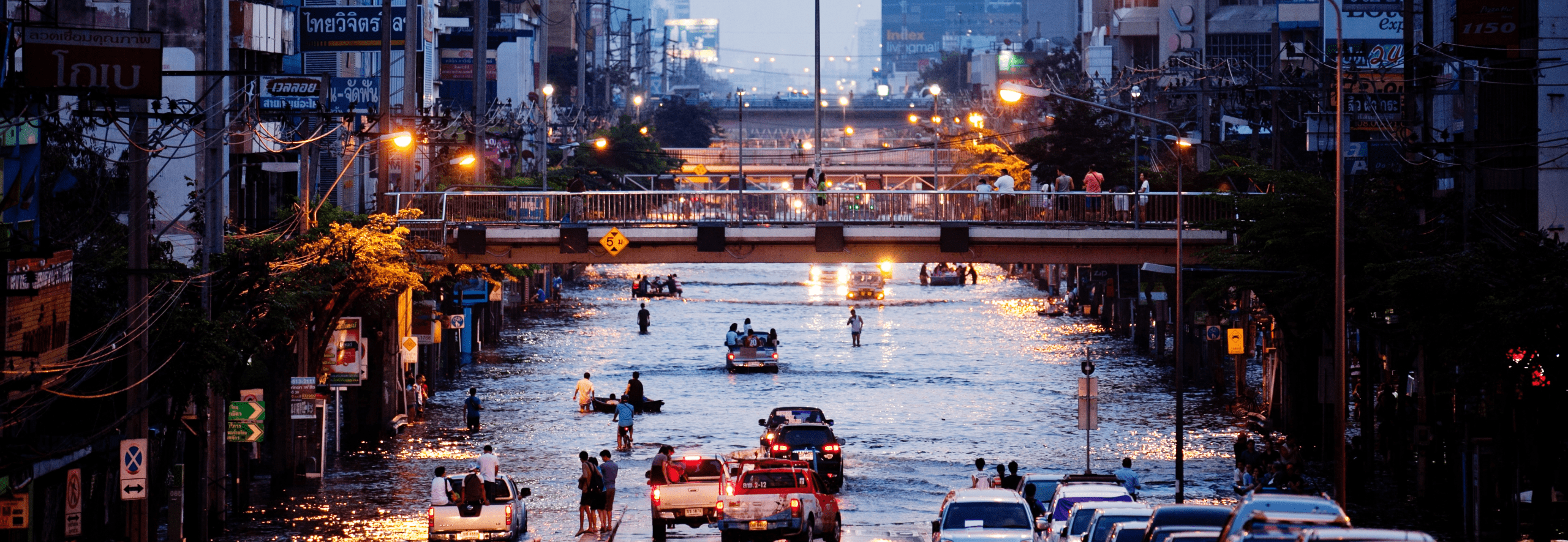 Flooded urban area as example of unlivable cities in 2030 with climate change