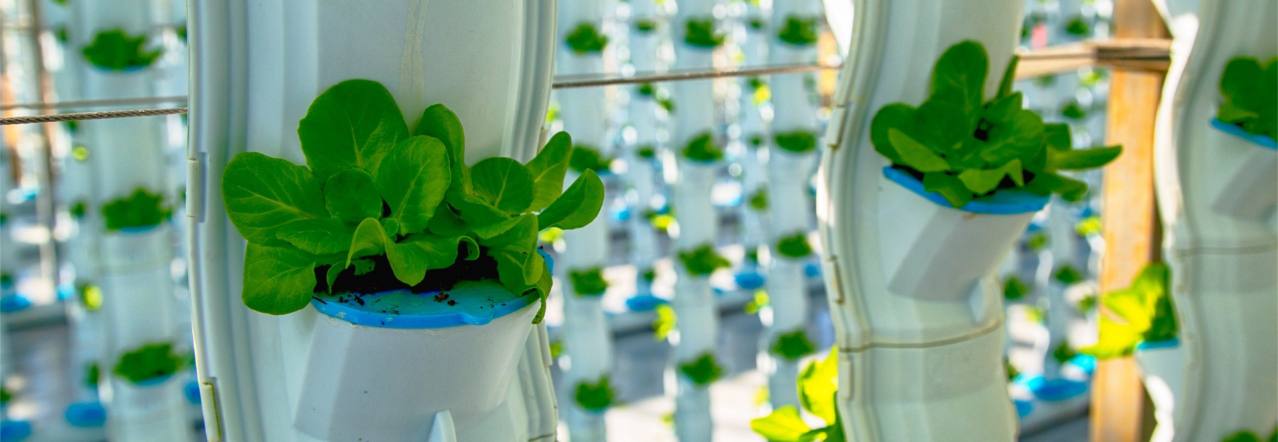 Vertical farming