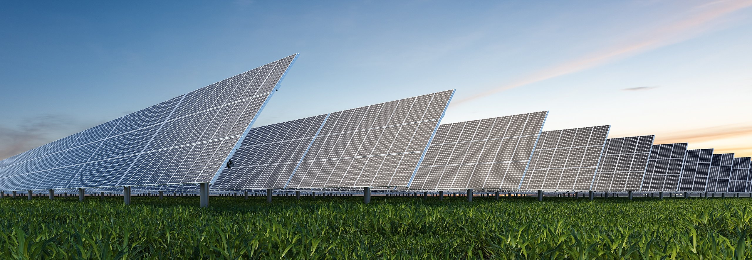 Solar panels in a grass field