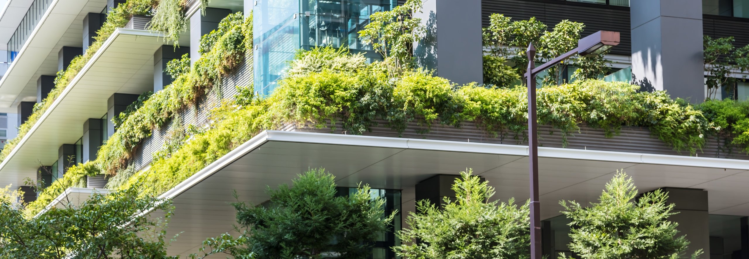 Sustainable green architecture