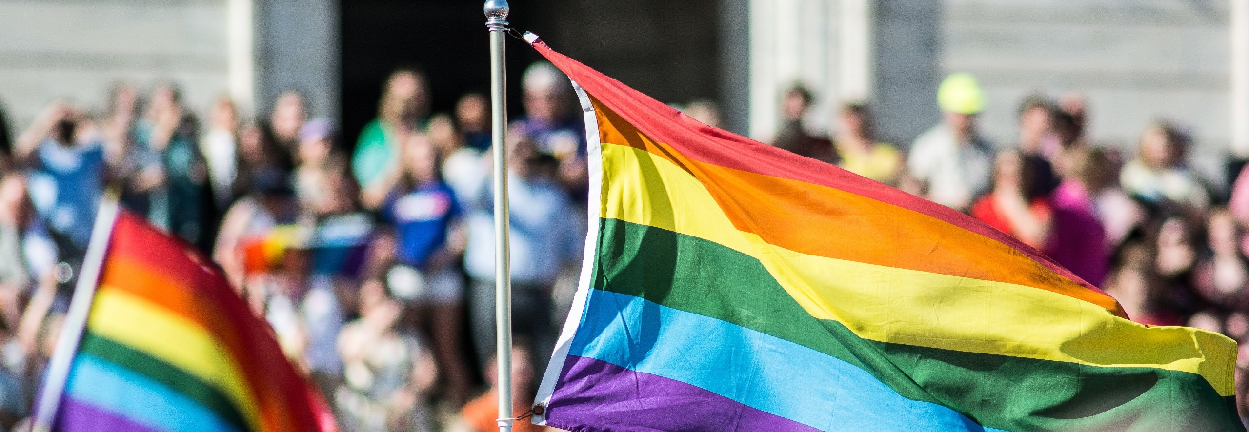 Rainbow flags being waved during a protest