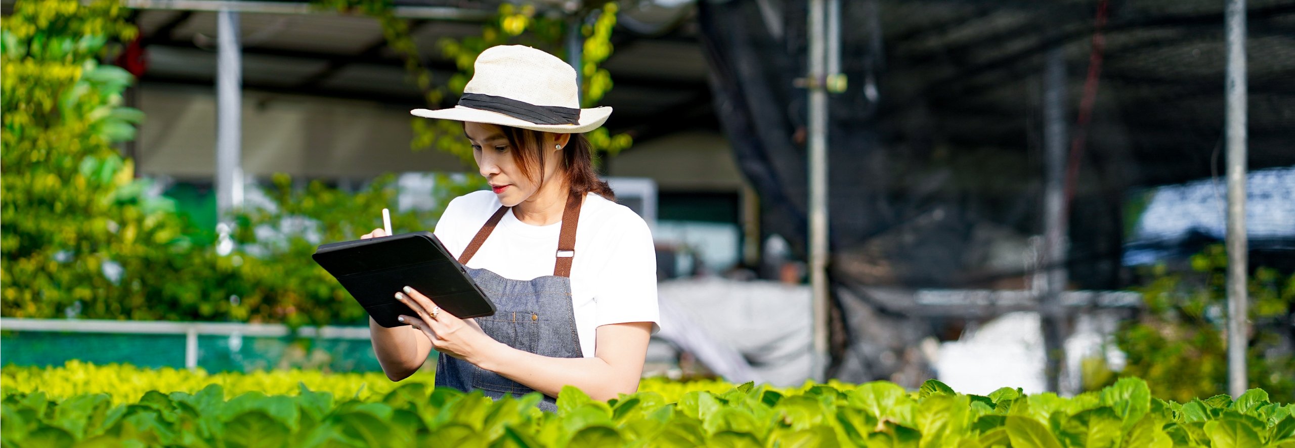 Asian woman farmer holding a tablet in a healthy vegetable farm representing sustainability finance