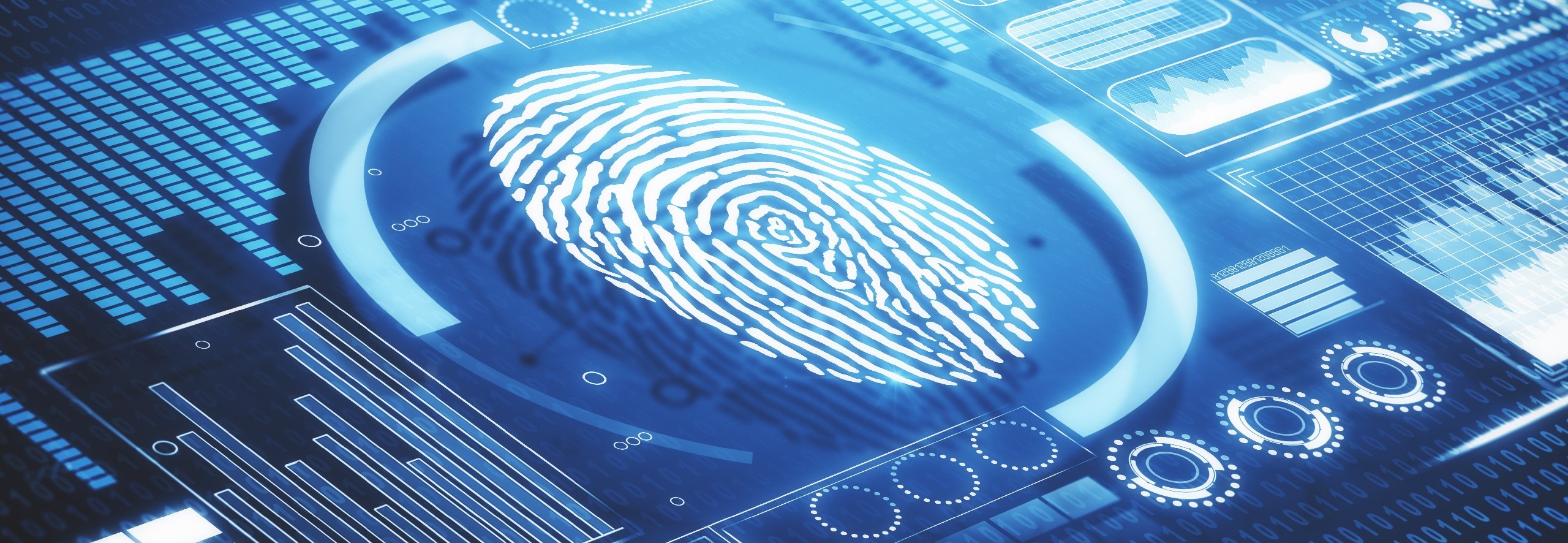 fingerprint biometric identification