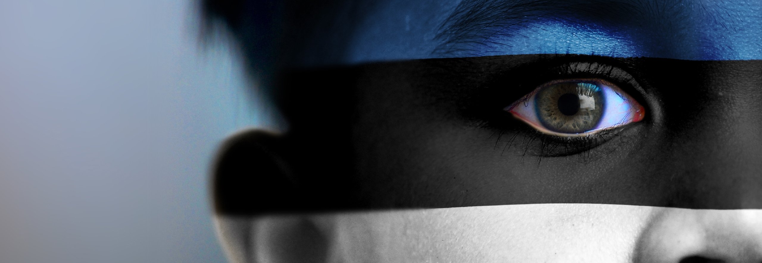 closeup of a boy's face superimposed with Estonian colors