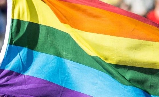 Rainbow flags being waved among a crowd of protestors