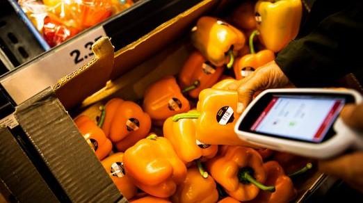 image of yellow bell peppers being boxed and scanned