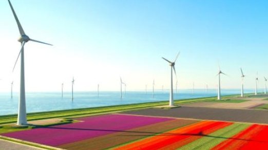 image of windmills over flower fields