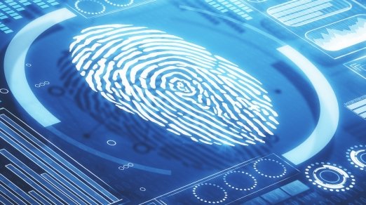 fingerprint identification